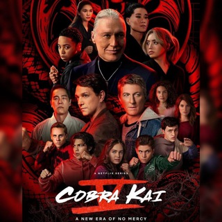 Логотип канала cobra_kai_season_1_2_3_4_5_6_hin