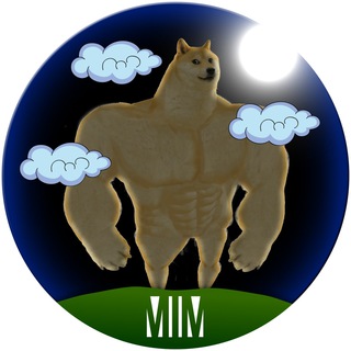 Логотип mim_team_gym1