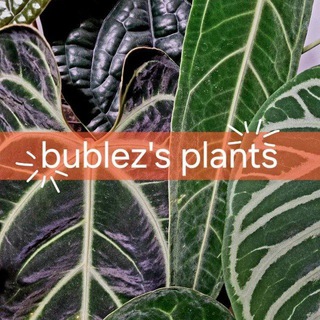 Логотип bublezplants