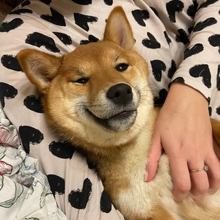 Логотип канала kami_shibainu