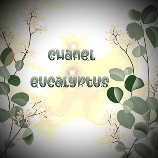 Логотип канала eucalyptus10