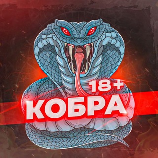 Логотип канала kobraa18