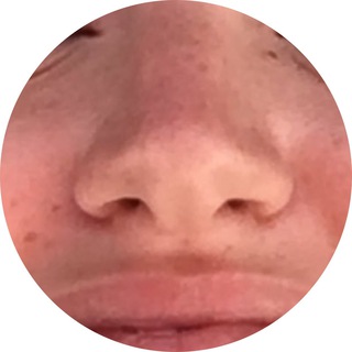 Логотип regina_fe