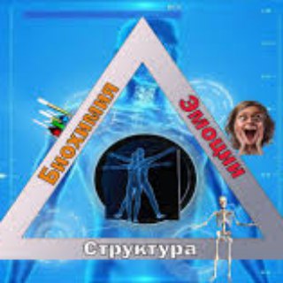 Логотип kinesiology_ru