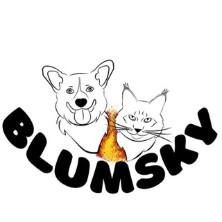 Логотип канала blumsky