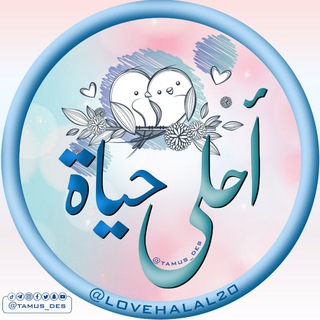 Логотип канала lovehalal_20