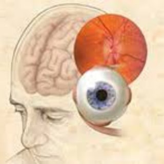 Логотип канала neuro_ophthalmology_books