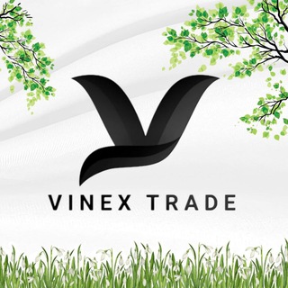 Логотип канала vintrade_news