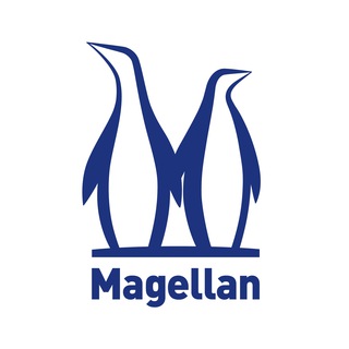 Логотип magellanboardgames