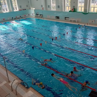 Логотип sc_swim_lyceum_90