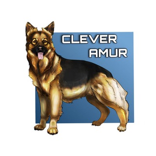 Логотип канала clever_amur