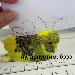 Логотип young_werther_comm