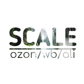 Логотип канала scalewb