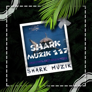 Логотип канала shark_muzik_117