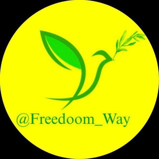 Логотип канала freedoom_way