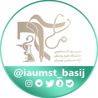 Логотип iaumst_basij