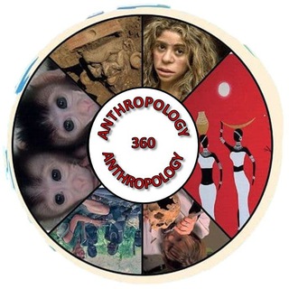 Логотип канала anthropologyupsc360