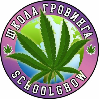 Логотип канала schoolgrow