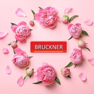 Логотип канала bruckner_tea