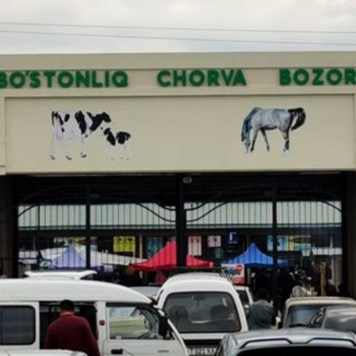 Логотип bostonliq_mol_bozori