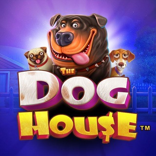 Логотип канала the_dog_house_ru