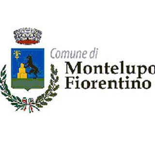 Логотип comunemontelupo