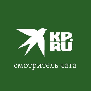 Логотип канала chatdvkpru