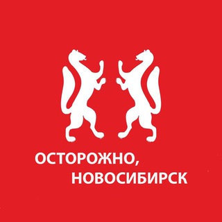 Логотип канала novosibirska_novosti
