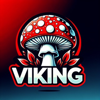 Логотип канала viking_mxm