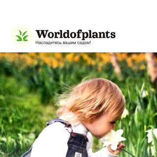 Логотип канала world_of_plants_turkey