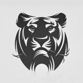 Логотип bettigermoney