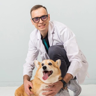 Логотип veterinar_krishvalov