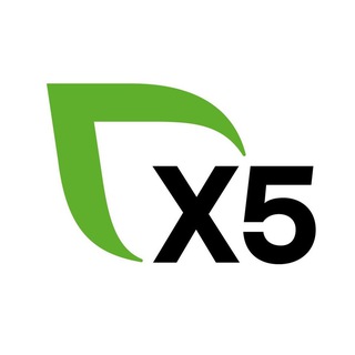 Логотип x5news