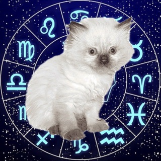 Логотип канала kittensandhoroscope