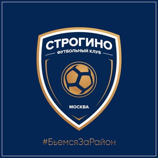 Логотип канала fcstrogino_academy