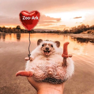 Логотип канала Zoo_Ark