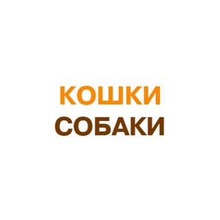 Логотип канала koshki_sobaki