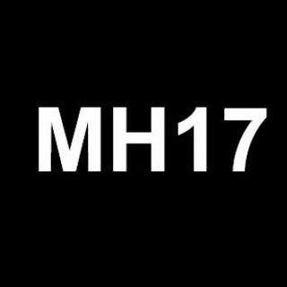 Логотип канала mh17nl