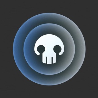 Логотип skull_hackers