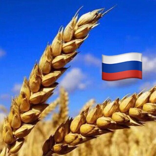 Логотип канала grainrussian