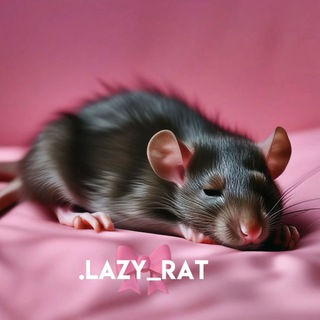 Логотип канала lazyrattop