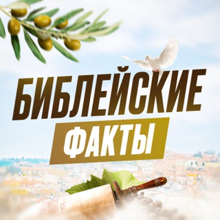 Логотип канала biblefacts_org