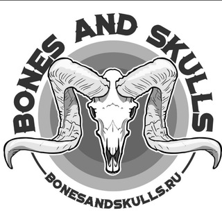 Логотип канала bonesandskulls1