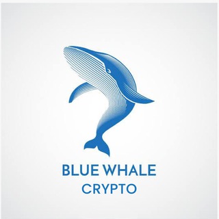 Логотип канала bluewhalecryptotm