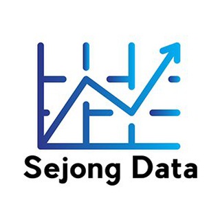 Логотип sejongdata2013