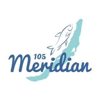 Логотип канала meridian105