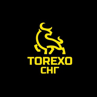 Логотип канала torexo_finance_cis