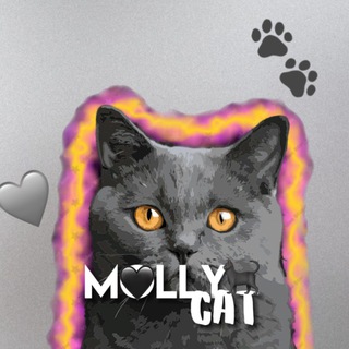 Логотип канала mollylovecat