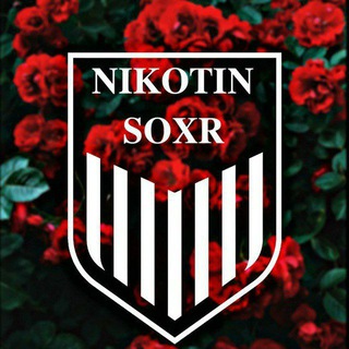 Логотип канала nikatin_sox