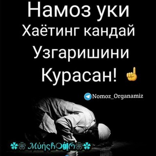 Логотип nomoz_organamiz